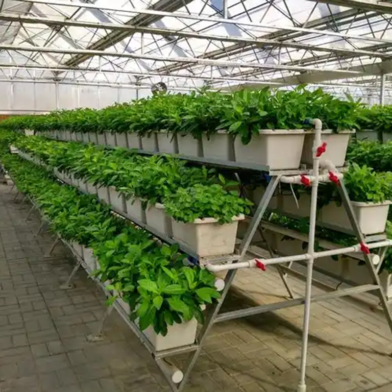南通市植物工厂无土栽培 - 一站式服务