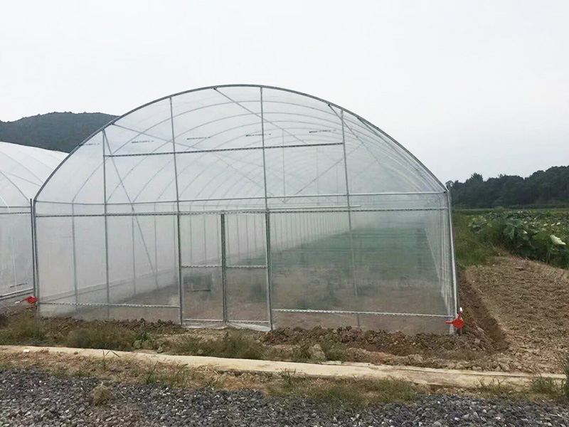 南通市薄膜大棚水培 - 方案